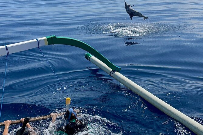 Bali : Dolphin Sunrise Experience Tour Private All Inclusive - Pickup and Start Time