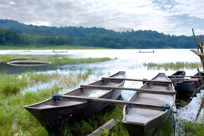 Bali Jungle Trekking in Beautiful Rainforest - Requirements for Participants