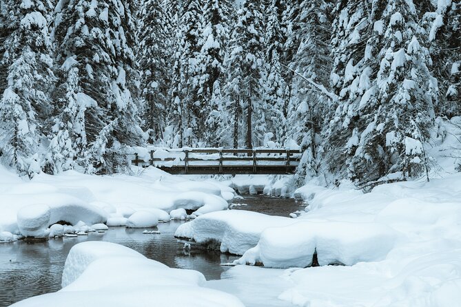 Banff National Park & Lake Louise FULL DAY PRIVATE TOUR - Accessibility and Participation