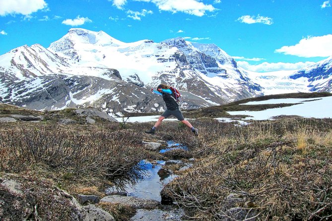 Banff to Jasper One-Way Tour - Transportation and Logistics
