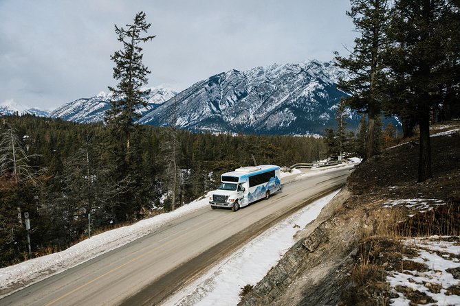 Banff Winter Wonder Tour - Featuring Nightrise at Banff Gondola - Pickup Information