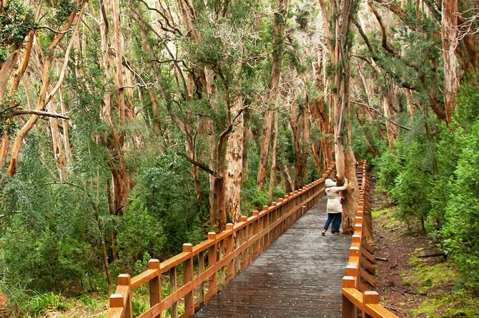 Bariloche Victoria Island and Arrayanes Forest - Activities and Experience
