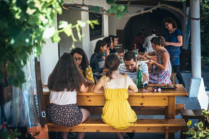 Basque Cider House Guided Tour + Meal From San Sebastian - Accessibility and Guide Information