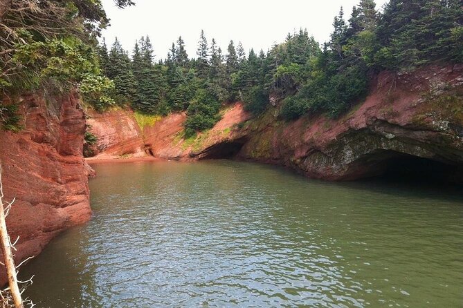Bay of Fundy Tour in Luxury Car - What to Expect
