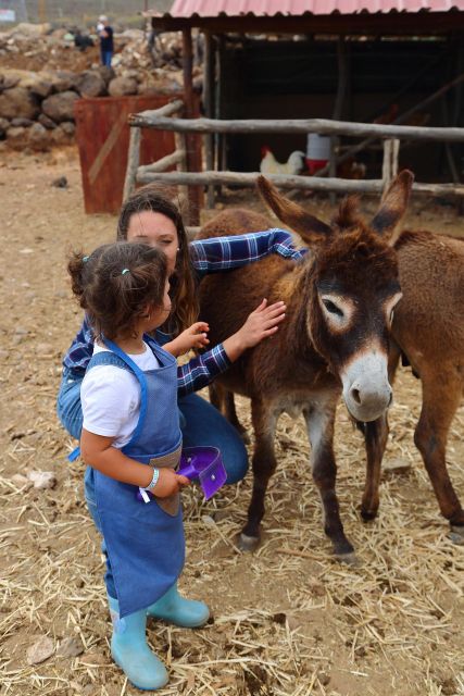 Be a Farmer for the Day at La Jaira De Ana - Local Produce Tasting