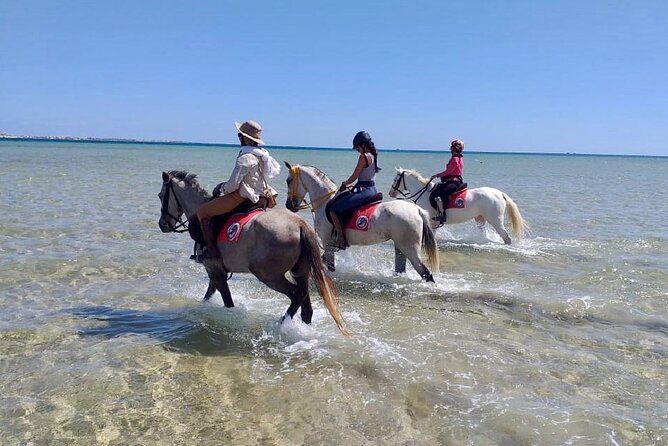 Beach Horse Riding From Sharm El Sheikh - Safety and Conditions