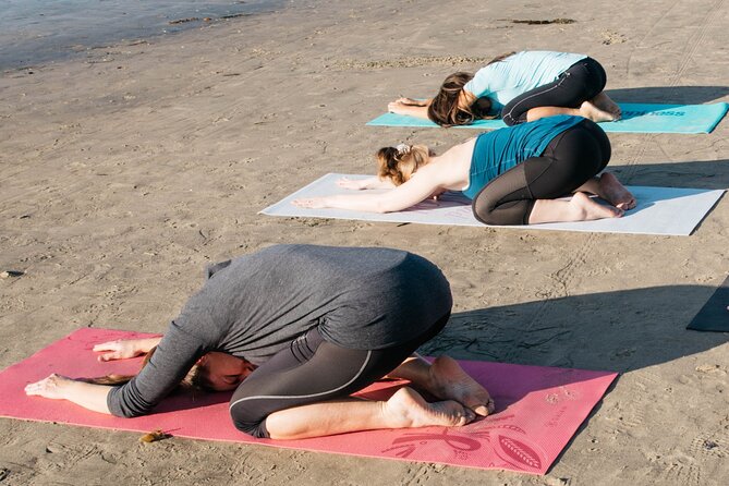 Beach Yoga in San Diego - Meet Your Instructor