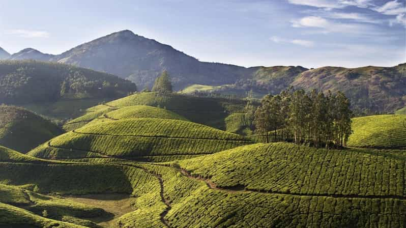 Beauty of Nature, Munnar Hill Station Tour (03 Days) - Key Attractions