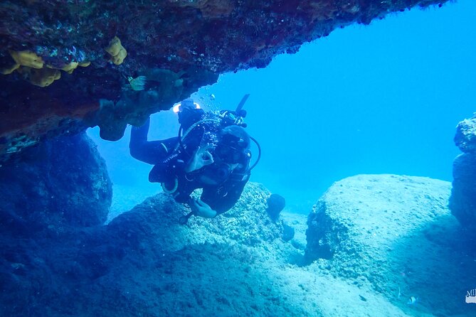 Beginner Diving Experience in Ligaria Bay - Certified Diving Professionals