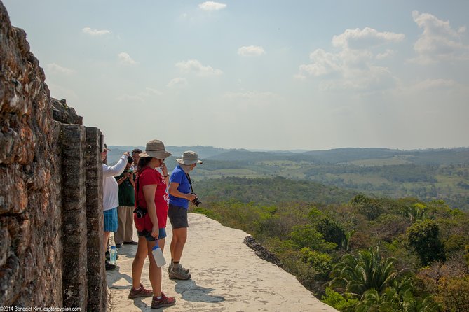Belize City to Xunantunich Mayan Ruins - Vegetation Transformation