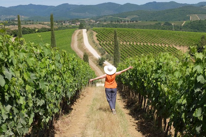 Bella Toscana Private Tour: 2 Chianti Wineries and San Gimignano From Livorno - What to Expect