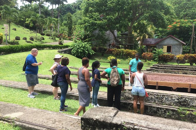Belmont Estate Heritage Tour - Exploring the Cocoa Plantation