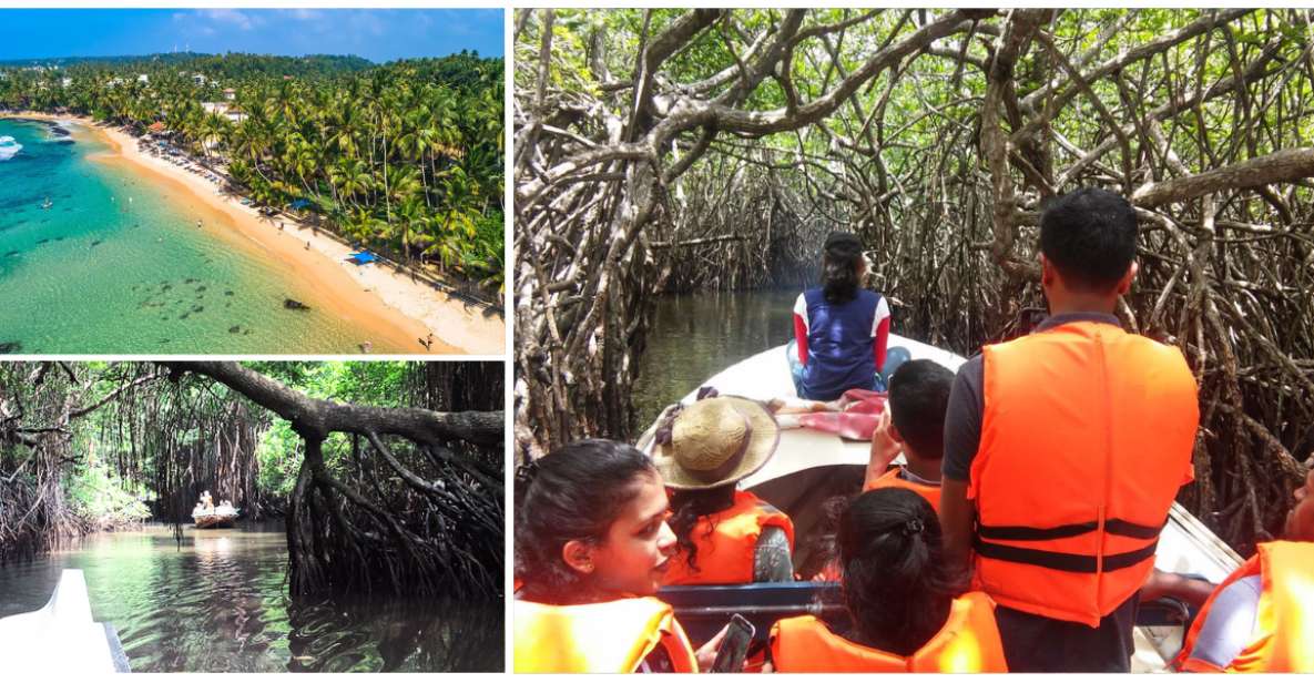 Bentota Beach, River Mangroves Lagoon, Wildlife Tour - Boat Cruise Experience