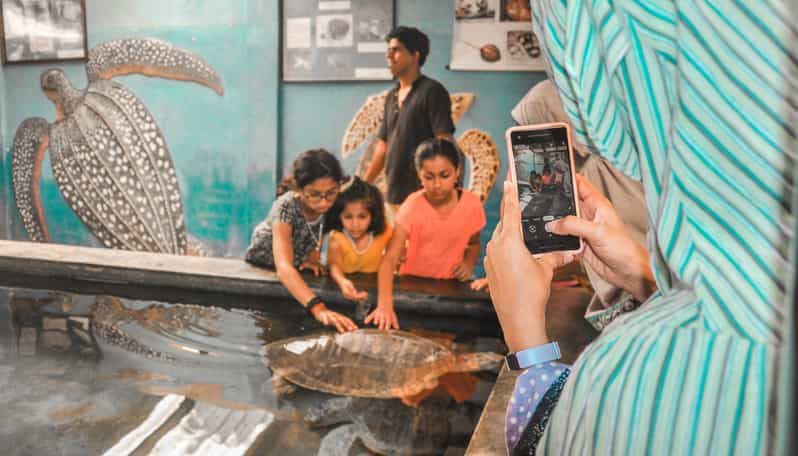 Bentota City Tour From Ahangama - Kosgoda Turtle Hatchery