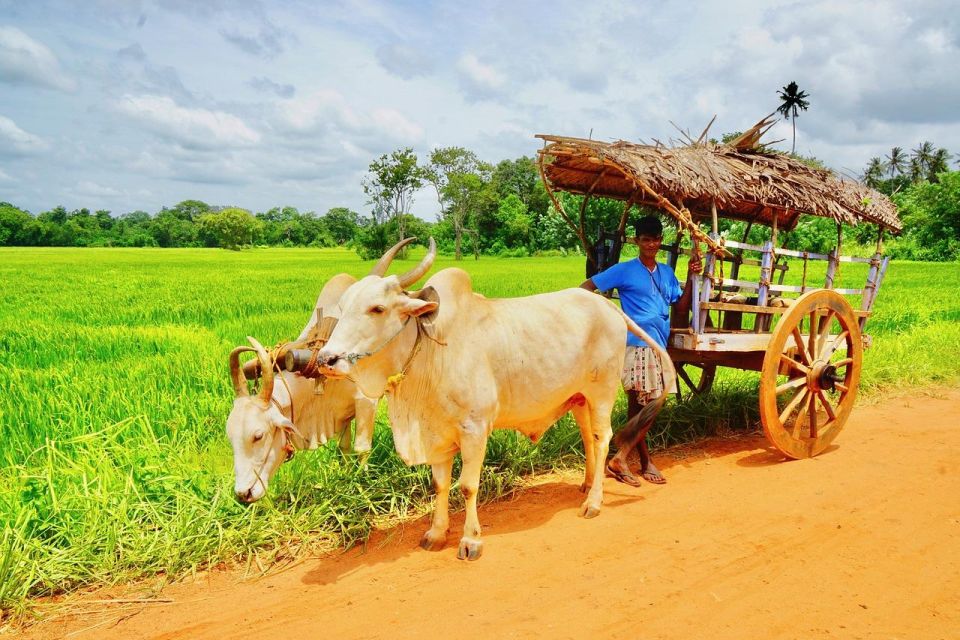 Bentota Guided Cycling Tour and Village Tour - Itinerary Details