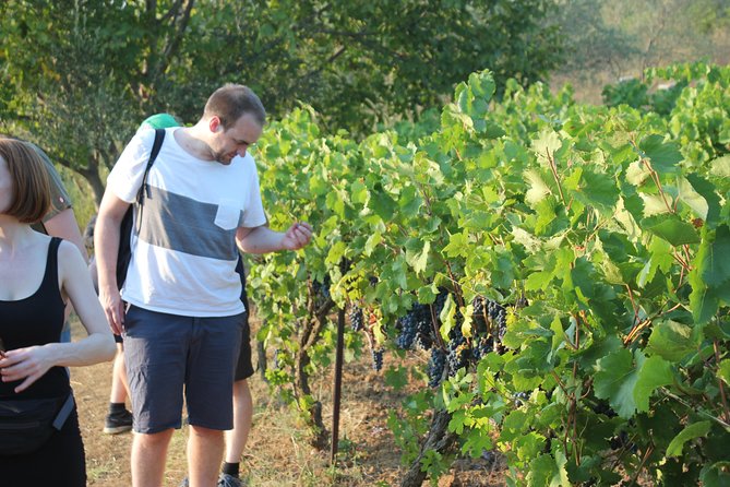 Berat to Bogoves Splendor: Waterfall Adventure & Wine Tasting - Meeting Point and Pickup