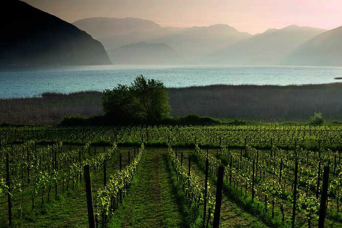 Bergamo and Franciacorta With Lunch and Cellar Visit - Transportation and Amenities
