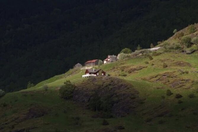 Bergen to Flam "The King of Fjords" One-Way or Round-Trip Cruise Ticket - Transportation and Accessibility