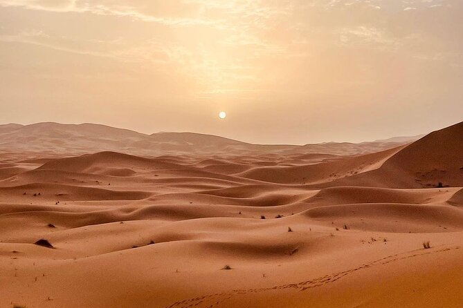 Best 3 Days Desert Tour From Fes to Marrakech - Camel Ride and Sandboarding