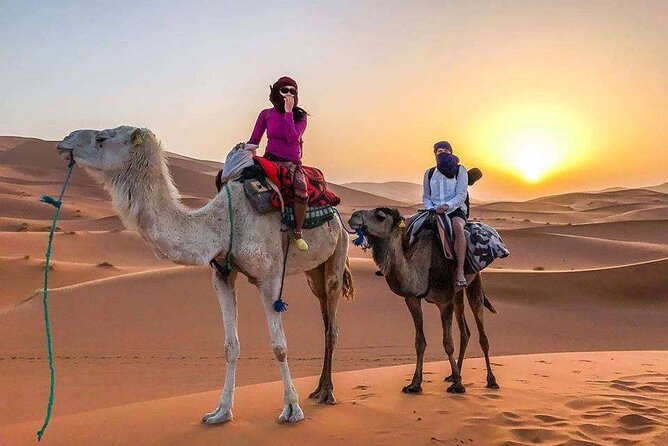 Best 3 Days Luxury Desert Camp Merzouga Tour From Fes Back to Fes - Accessibility Features