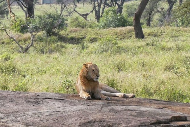 Best 3 Days Tanzania Shared Safari Tarangire Ngorororo Manyara - Accommodation and Meals