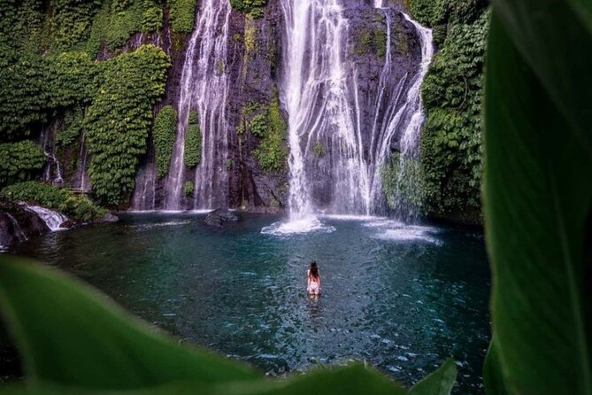 Best Bali Day Trip: Bratan Temple, Hidden Waterfall, Handara Gate - Scenic Views at Wanagiri Hidden Hills