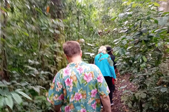 Best Jinja Source of the River Nile Day Experience - Accessibility Features