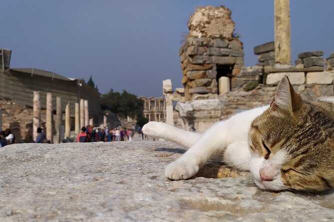Best of Ephesus Tour From Kusadasi: Temple of Artemis, St John Basilica, Isa Bey Mosque - Temple of Artemis