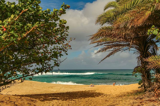 Best of Oahu: Pearl Harbor & Oahu Circle Island Tour From Waikiki - Accessibility and Participation