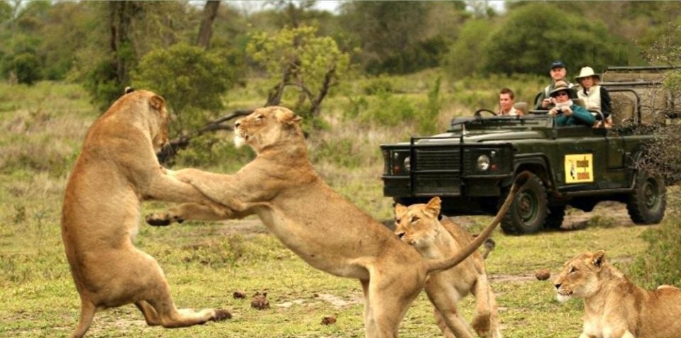 Best Of S. Africa 10 Days Johannesburg to Cape Town Pvt Tour - Activities and Experiences