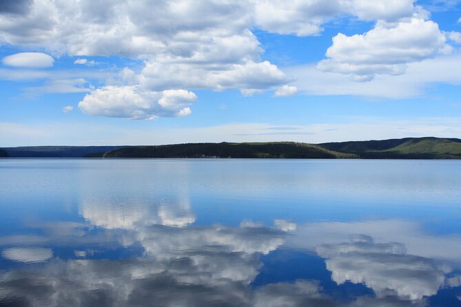 Best of Yellowstone National Park From Gardiner - Private Tour - Meeting Point and Pickup Options