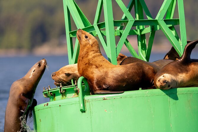 Best Whale Watching and Wildlife Shore Excursion in Sitka - Unique Wildlife Sightings