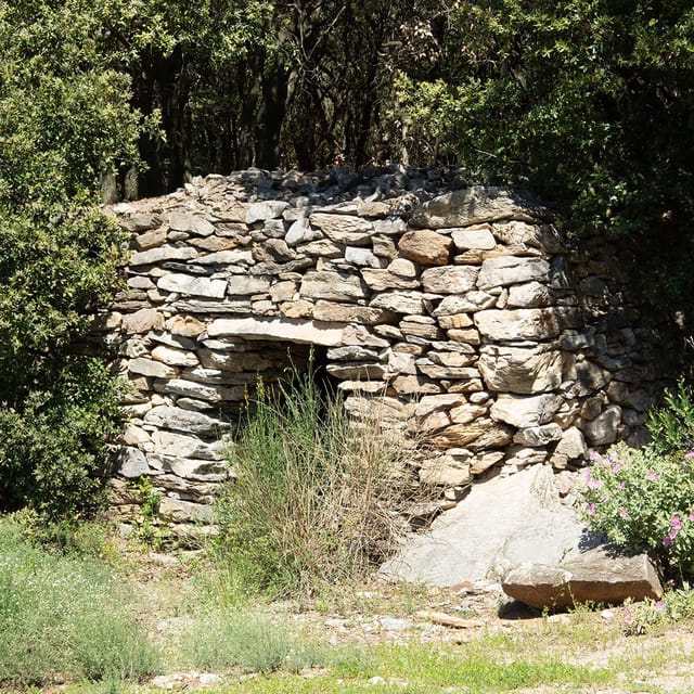 Béziers: Explore the Faugères Vineyards With a Picnic - Tour Overview