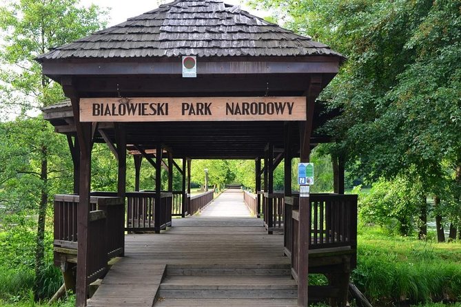 Bialowieza National Park Small Group Tour From Warsaw With Lunch Included - Bialowieza National Park Overview