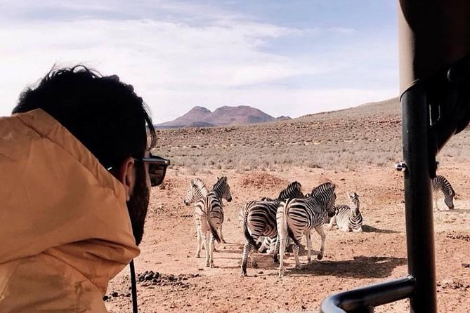 Big 5 Safari One Day Tour - Guest Experiences