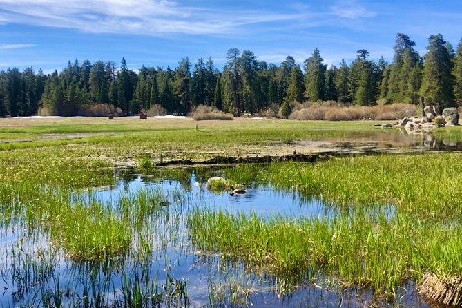 Big Bear Jeep Off-Road Tour With Hike to Bluff Lake Reserve - Schedule and Availability