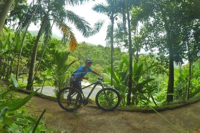 Bike Rental by PARATY TOURS - Recommended Biking Routes