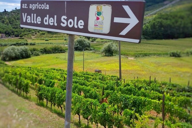 Bike Ride & WIne Tasting - Picturesque Vineyards and Wineries