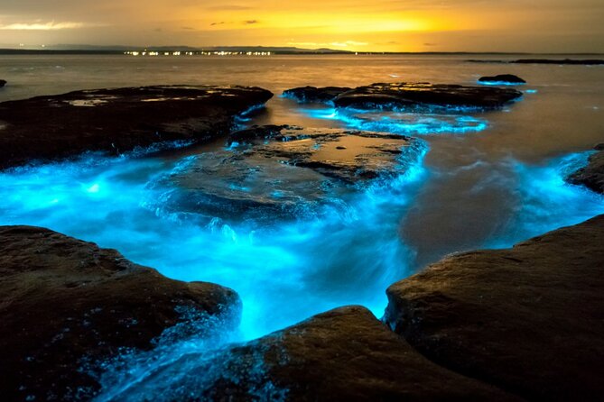 Bioluminescence Clear Kayak or Paddleboard Tour Near Orlando - Expectations for the Tour