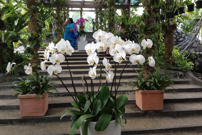 Bird Park & Butterfly Farm Nature Include All Entrance Tour From Kuala Lumpur - Itinerary and Duration