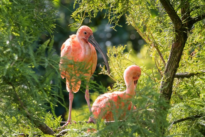 Bird Sanctuaries Tour - Pickup Information