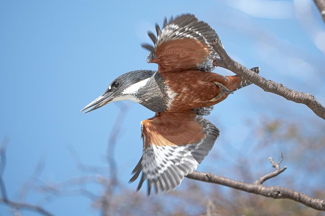 Birding in Tierra Del Fuego National Park - Positive Reviews
