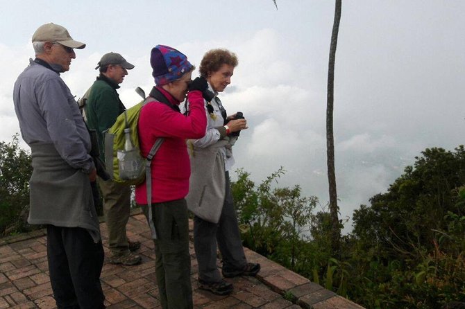 Birding & Nature to Chicaque Cloud Forest Nature Reserve - Bird Diversity and Sightings