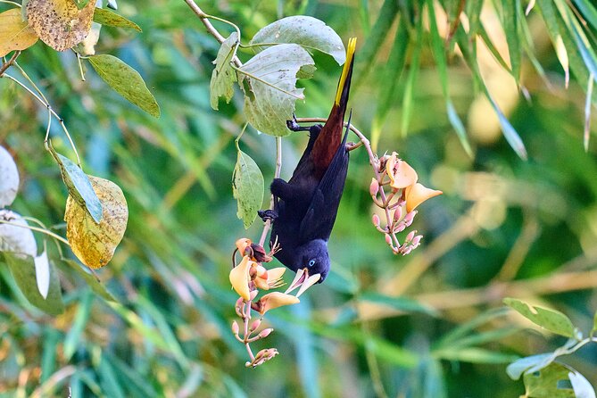 Birdwatching in a Private Nature Reserve - Booking and Cancellation Policy