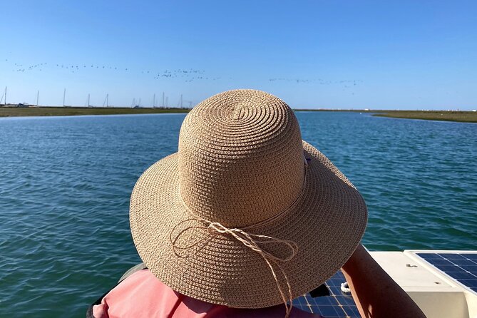 Birdwatching in Ria Formosa - Eco Boat Tour From Faro - Wildlife Observation