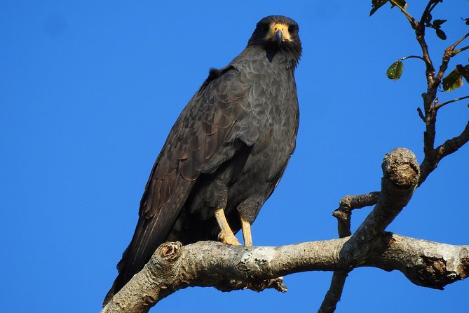Birdwatching Tour - Cancellation Policy