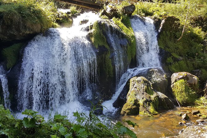 Black Forest Tour by Car - Quick Tour From Freiburg - Operating Hours