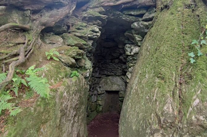 Blarney Castle Cork City and Jameson Distillery Semi Private Tour - Itinerary Highlights