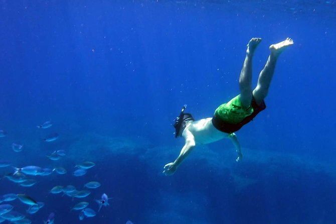 Blow Lagoon Bali Snorkeling and See Bali Bats Cave Temple - Transportation Arrangements
