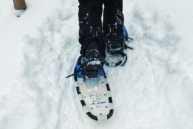 Blue Mountain and Scenic Caves of Collingwood - Health and Accessibility